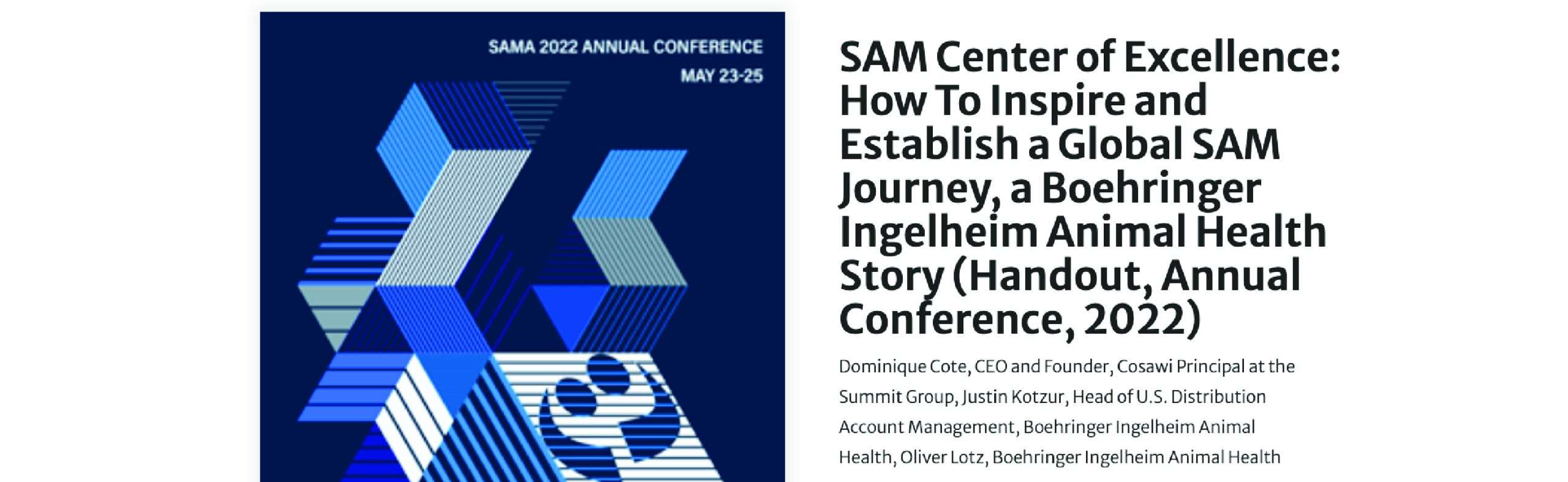 Center of Excellence: How to inspire and establish a global SAM journey